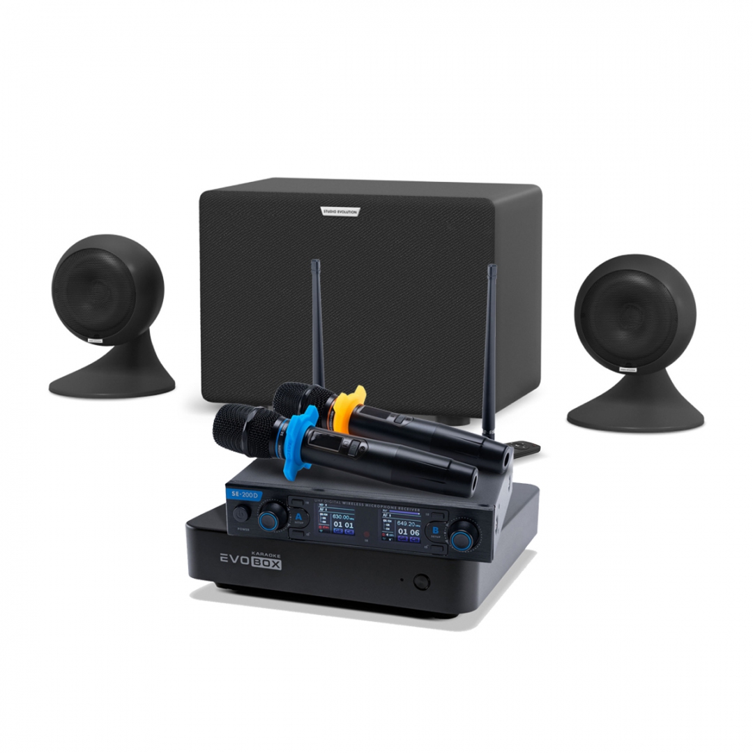 караоке-комплект EVOBOX + EvoSound Sphere 2.1 в Лабытнангах