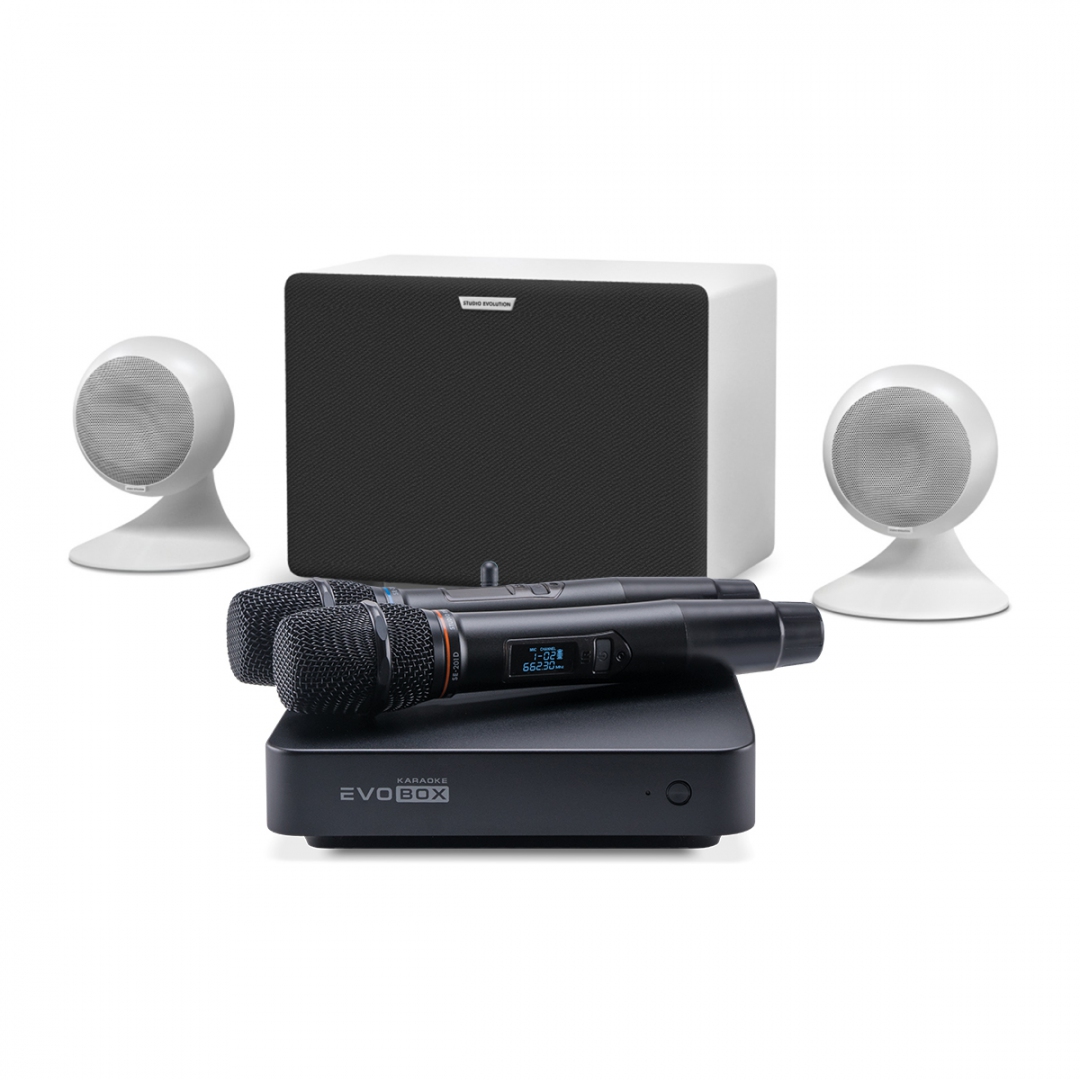караоке-комплект EVOBOX Classic + EvoSound Sphere 2.1 в Лабытнангах