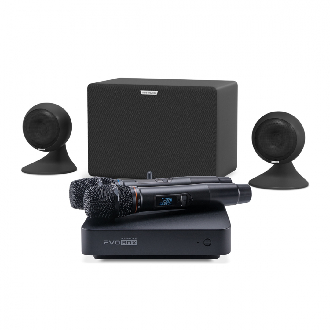 караоке-комплект EVOBOX Plus + EvoSound Sphere 2.1 в Лабытнангах