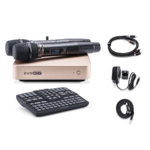 EVOBOX Classic караоке-система для дома в Лабытнангах