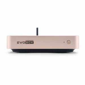 EVOBOX Plus караоке-система для дома в Лабытнангах