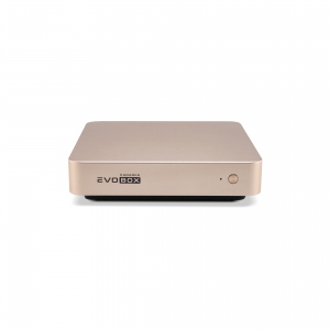 EVOBOX с микрофонами в Лабытнангах