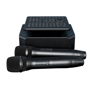 караоке-комплект для Дома AST ZOOM 1/2 и AST-SM6A в Лабытнангах